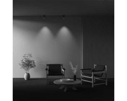 Точечный светильник Focus Led C056CL-L12W3K-W-BS Maytoni