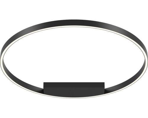 Потолочный светильник Rim MOD058CL-L50BK Maytoni