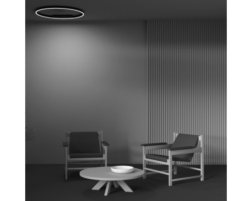 Потолочный светильник Rim MOD058CL-L50BK Maytoni