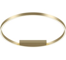 Потолочный светильник Rim MOD058CL-L50BSK Maytoni