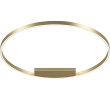 Потолочный светильник Rim MOD058CL-L65BSK Maytoni