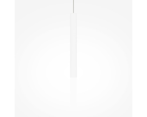 Подвесной светильник Pro Shade MOD157PL-L6WK Maytoni