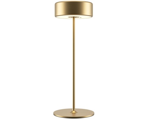 Интерьерная настольная лампа AI Collaboration MOD229TL-L3G3K2 Maytoni