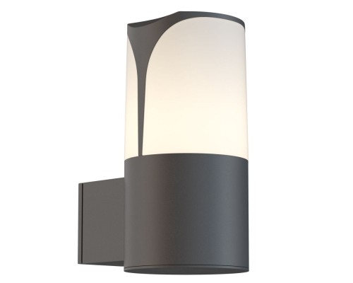 Настенный светильник уличный Piccadilly O016WL-01B Maytoni