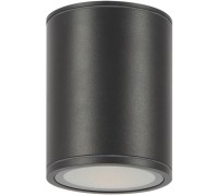Потолочный светильник уличный Bar O306CL-L12GF Maytoni