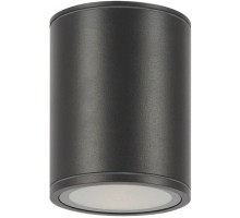 Потолочный светильник уличный Bar O306CL-L12GF Maytoni