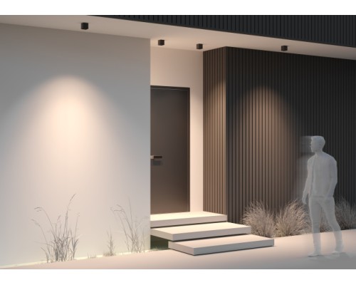 Потолочный светильник уличный Ares O309CL-L8GF3K Maytoni