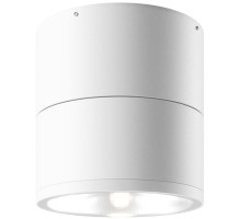 Потолочный светильник уличный Spin O310CL-L12W3K Maytoni