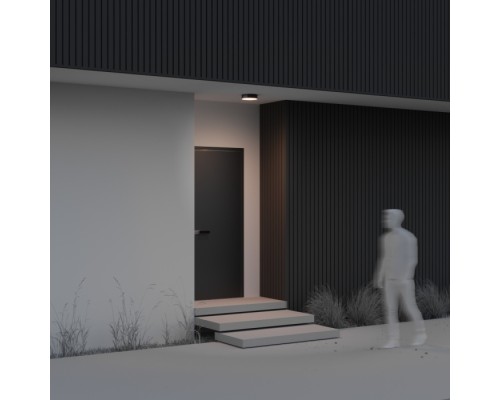 Потолочный светильник уличный Zon IP O431CL-L30B3K Maytoni