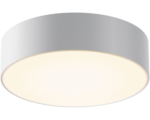 Потолочный светильник уличный Zon IP O431CL-L30W3K Maytoni