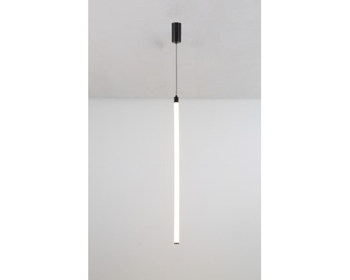 Подвесной светильник Ray P022PL-L20B3K Maytoni