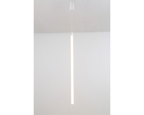 Подвесной светильник Ray P022PL-L20W3K Maytoni