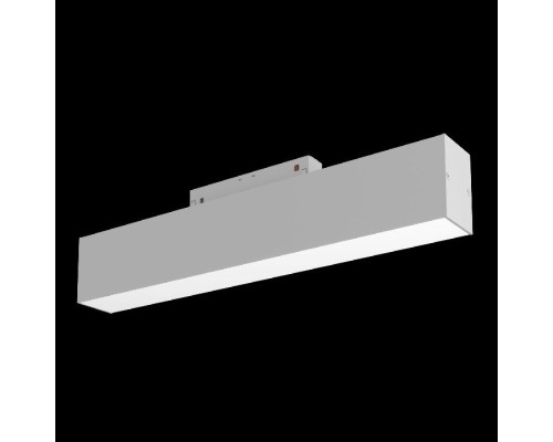 Трековый светильник BASIS TR012-2-12W3K-W Maytoni