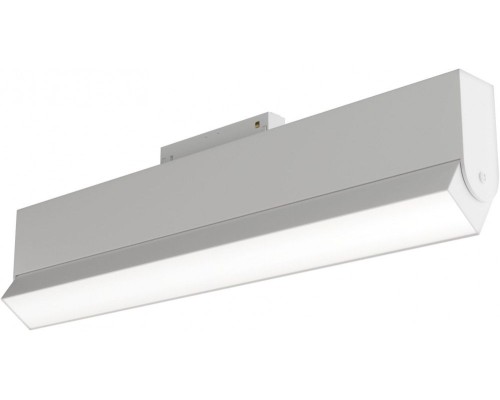 Трековый светильник Basis TR013-2-20W3K-W Maytoni