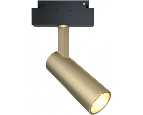 Трековый светильник Focus Led TR019-2-10W4K-MG Maytoni