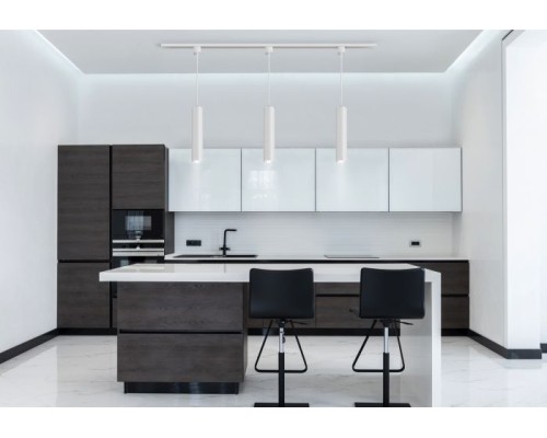 Трековый светильник Focus TR025-1-GU10-W Maytoni