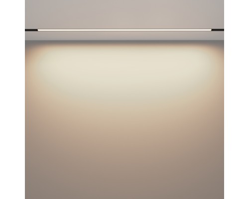 Трековый светильник Basis TR030-2-30W3K-B Maytoni