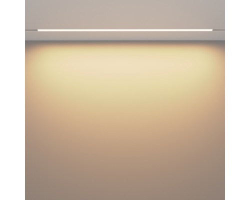 Трековый светильник Basis TR030-2-30W3K-W Maytoni