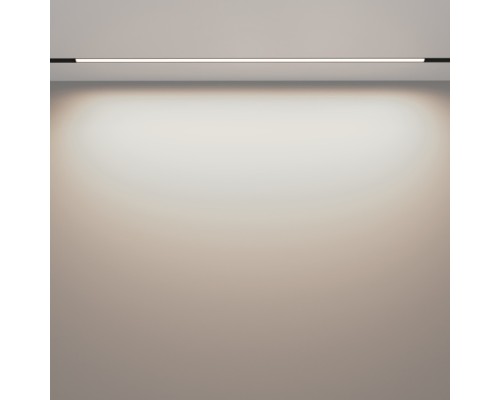 Трековый светильник Basis TR030-2-30W4K-B Maytoni