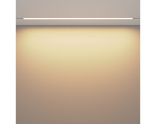 Трековый светильник Basis TR030-4-30W3K-WW-DS-W Maytoni