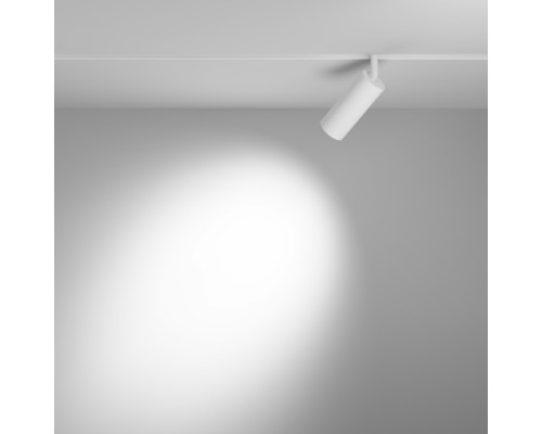 Трековый светильник Focus LED TR032-4-12W3K-S-DS-W Maytoni