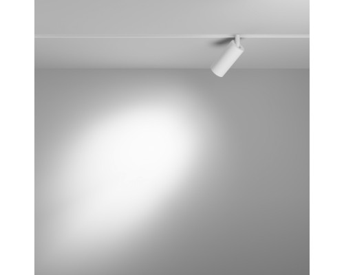 Трековый светильник Focus LED TR032-4-5W3K-S-DS-W Maytoni