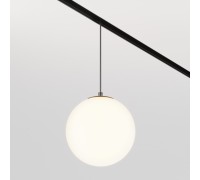 Трековый светильник Luna TR039-2-5W3K Maytoni