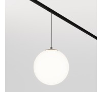 Трековый светильник Luna TR039-2-5W4K Maytoni