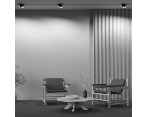 Трековый светильник Rim TR044-1-12W3K-B Maytoni