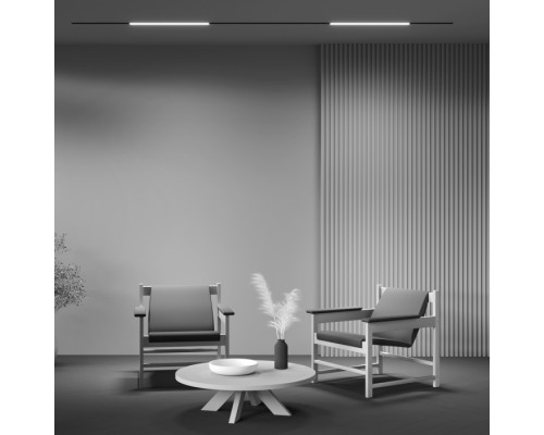 Трековый светильник Basis TR074-2-20W3K-B Maytoni