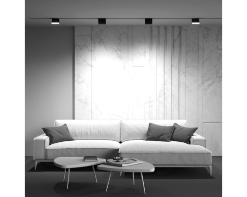 Трековый светильник Basis Rot TR075-2-10W4K-B Maytoni