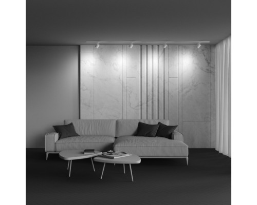 Трековый светильник Polar TR088-1-GX53-W Maytoni