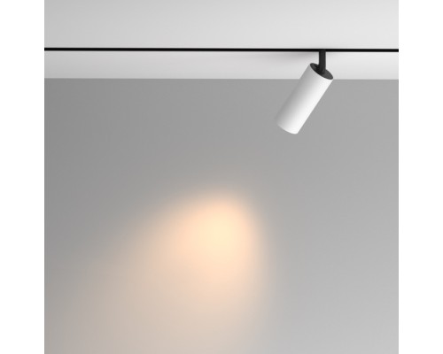 Трековый светильник Artisan TR097-2-12W3K-M-BW Maytoni