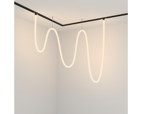 Трековый светильник Tau TR101-2-100W3K-B Maytoni