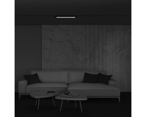 Трековый светильник Basis Rot TR104-1-20W3K-B Maytoni