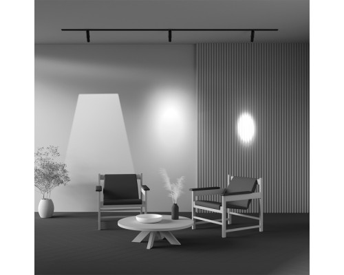 Трековый светильник Gala TR108-2-10W3K-B Maytoni