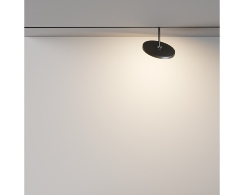 Трековый светильник Plato TR131-2-15W3K-B Maytoni