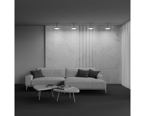 Трековый светильник Plato TR131-4-15W-DS-B Maytoni