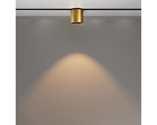 Трековый светильник Alfa S TR132-2-7W3K-BS Maytoni