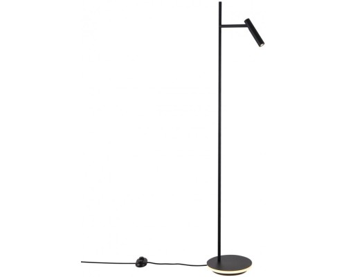 Торшер Estudo Z010FL-L8B3K Maytoni
