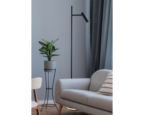 Торшер Estudo Z010FL-L8B3K Maytoni