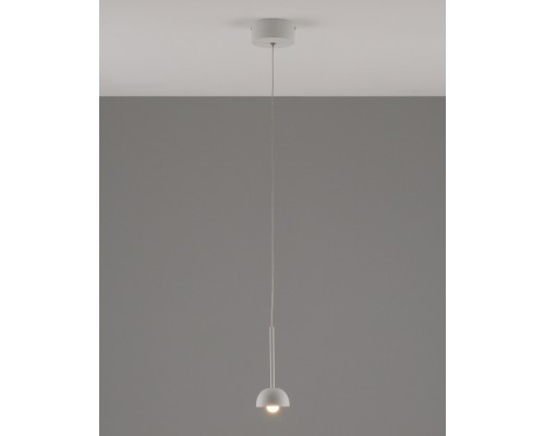 Подвесной светильник Fiona V10892-PL Moderli