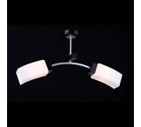 Потолочная люстра Эко-тек 10817/2C WENGE Natali Kovaltseva