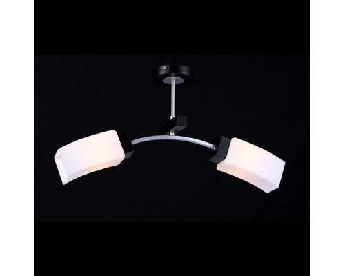 Потолочная люстра Эко-тек 10817/2C WENGE Natali Kovaltseva