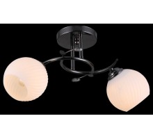 Потолочная люстра 11469 11469/2 DARK CHROME Natali Kovaltseva