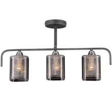 Потолочная люстра 75066/3C STAIN SILVER Natali Kovaltseva