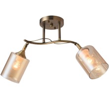 Потолочная люстра Taylor 81452/2W Natali Kovaltseva