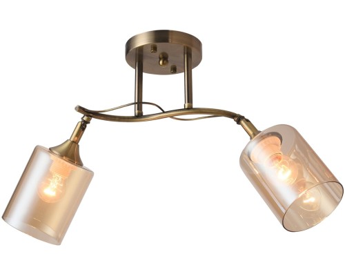 Потолочная люстра Taylor 81452/2W Natali Kovaltseva