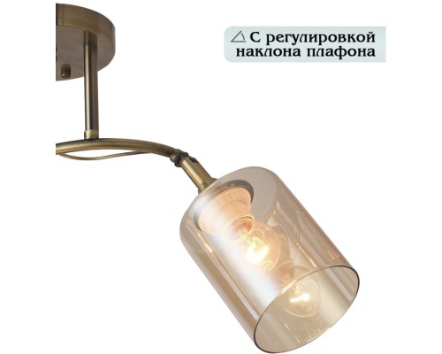 Потолочная люстра Taylor 81452/2W Natali Kovaltseva