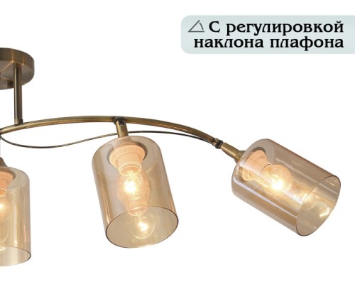 Потолочная люстра Taylor 81452/5C Natali Kovaltseva